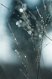 《魔兽世界》今日起接入战网功能：巫妖王之怒怀旧服率先开服